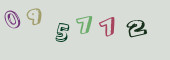 Sicherheits-Code
