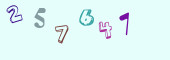 Sicherheits-Code