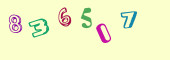 Sicherheits-Code
