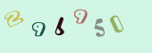 Sicherheits-Code