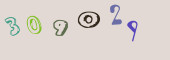 Sicherheits-Code