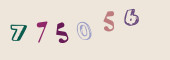 Sicherheits-Code