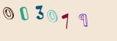 Sicherheits-Code