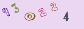 Sicherheits-Code