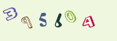 Sicherheits-Code